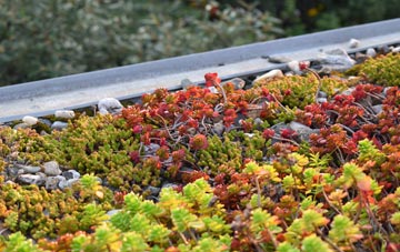 the cost of Ramsey Mereside green roof installation