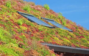 Ramsey Mereside living roof systems