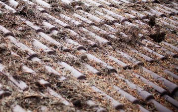 Ramsey Mereside roof cleaning companies