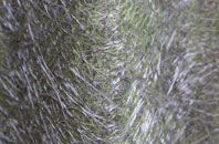 Ramsey Mereside fibreglass roof work